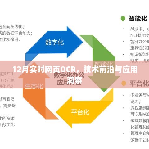 12月实时网页OCR技术，前沿洞察与应用