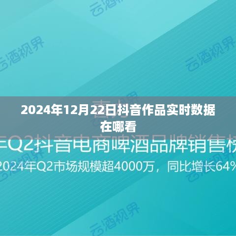 抖音作品实时数据查看指南，2024年12月22日实时数据查看攻略