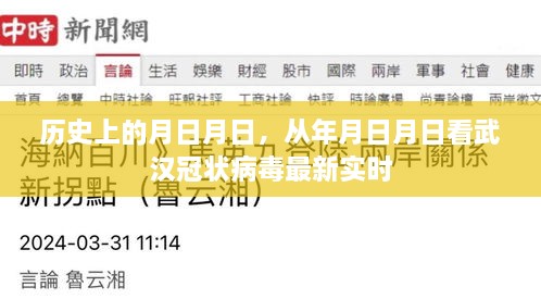 武汉冠状病毒实时更新，历史视角下的最新动态分析