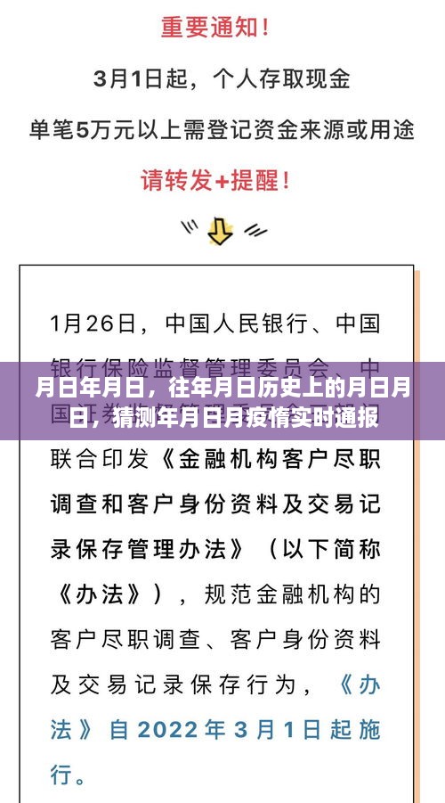 疫情动态追踪，历史与实时通报的月日月日分析