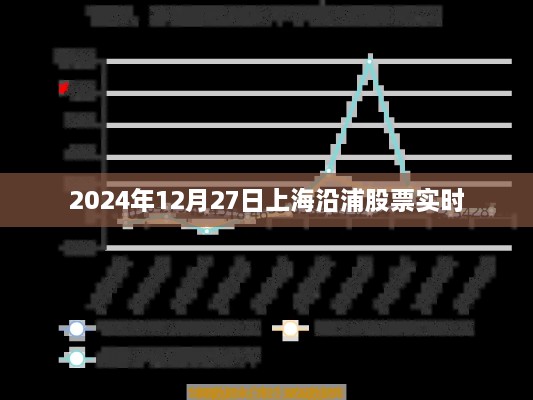 上海沿浦股票行情实时更新（最新动态）