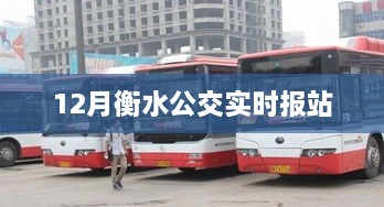 衡水公交实时报站信息，十二月最新更新