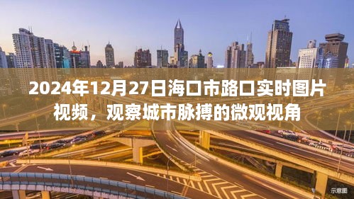 海口市路口实时图片视频，观察城市脉动