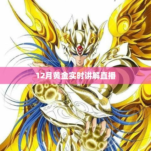 12月黄金市场走势实时解析直播