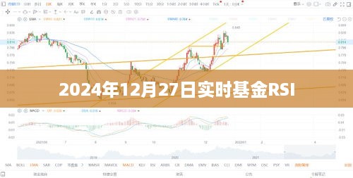 2024年12月 第17页