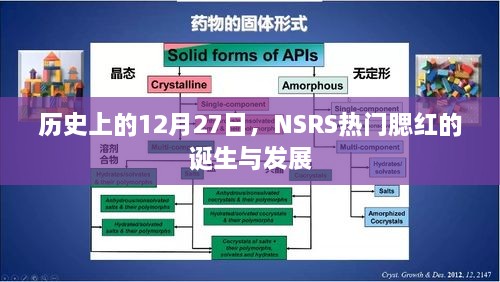 NSRS热门腮红的诞生与成长历程回顾