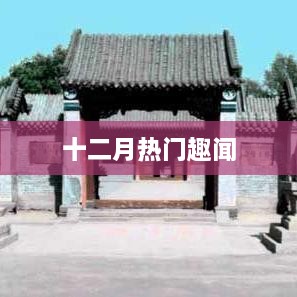 十二月热门趣事盘点