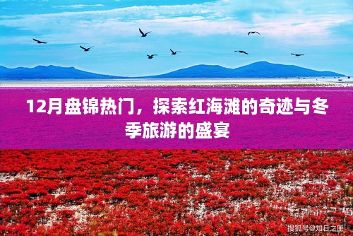 盘锦红海滩奇迹与冬季旅游盛宴探索