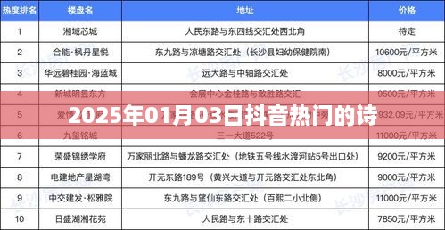 抖音热门诗篇，时光流转至2025年