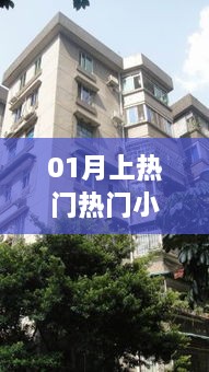 热门小区揭秘，一月关注度飙升