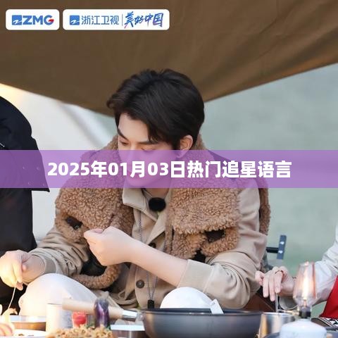 追星热门语言盘点，2025年1月3日最新流行语