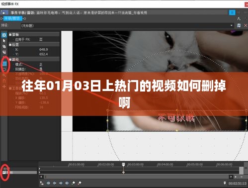 素车白马