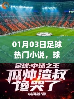 在线留言 第20页