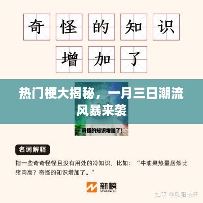 白茫茫