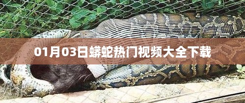 人仰马翻