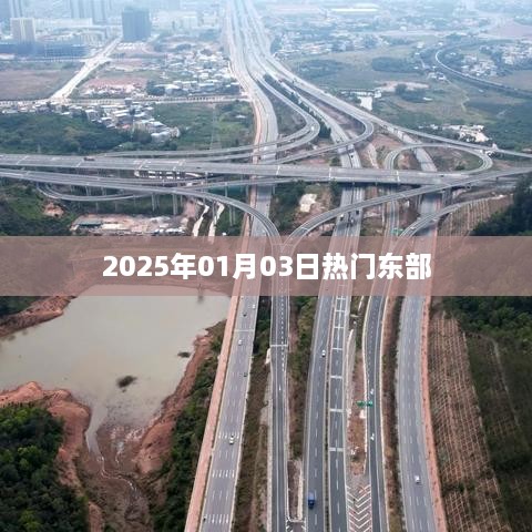鸡零狗碎
