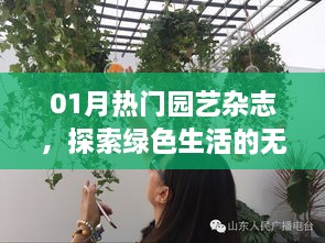 老马识途