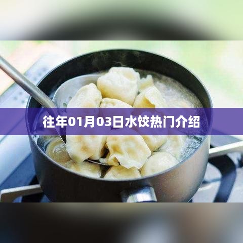 水饺热门介绍，历年01月03日回顾
