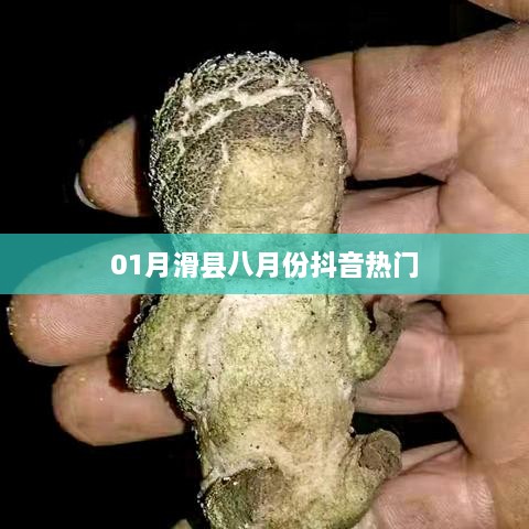 新闻动态 第10页