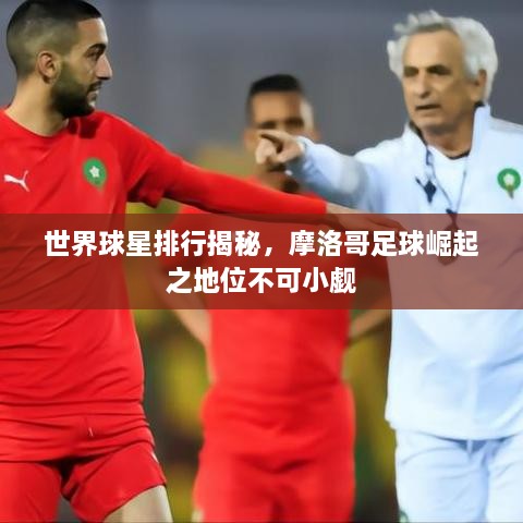 在线留言 第8页