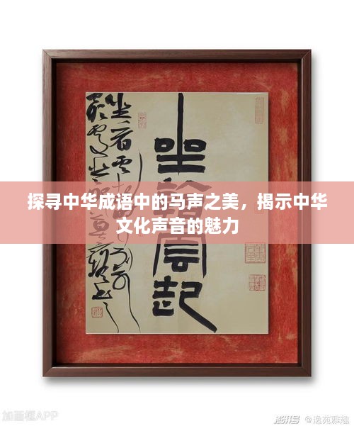 探寻中华成语中的马声之美，揭示中华文化声音的魅力