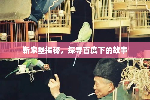 靳家堡揭秘，探寻百度下的故事