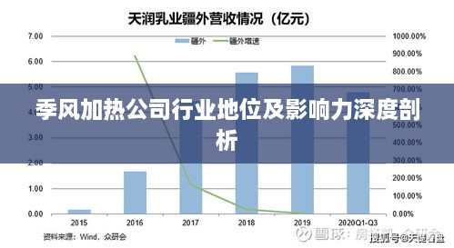 季风加热公司行业地位及影响力深度剖析