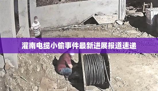 灌南电缆小偷事件最新进展报道速递