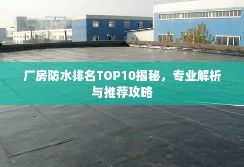 厂房防水排名TOP10揭秘，专业解析与推荐攻略