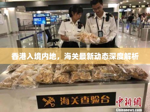 香港入境内地，海关最新动态深度解析