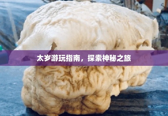 太岁游玩指南，探索神秘之旅