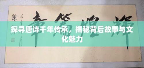 探寻唐诗千年传承，揭秘背后故事与文化魅力